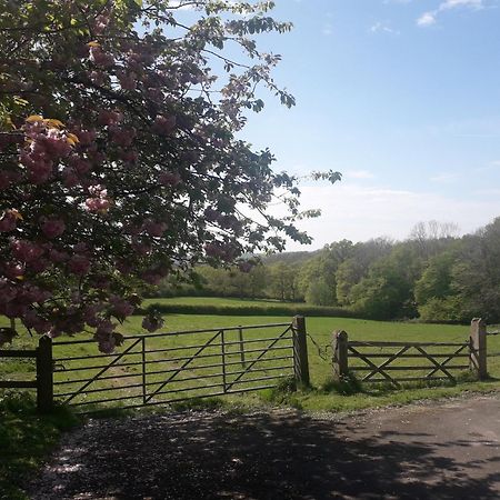 Moaps Farm B&B Support Small Business, Welcome, Check In From 5 Pm Danehill Exterior photo