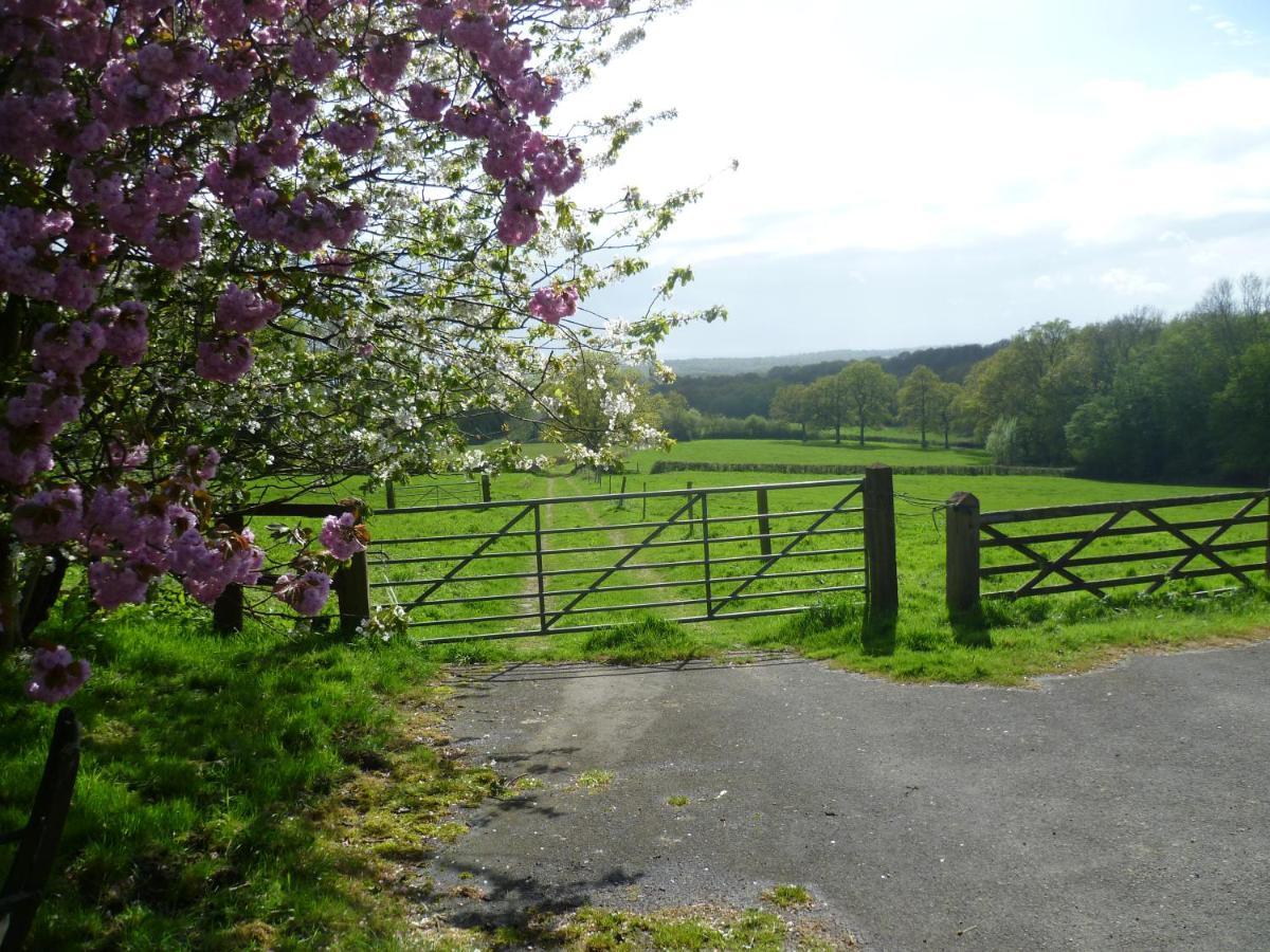 Moaps Farm B&B Support Small Business, Welcome, Check In From 5 Pm Danehill Exterior photo