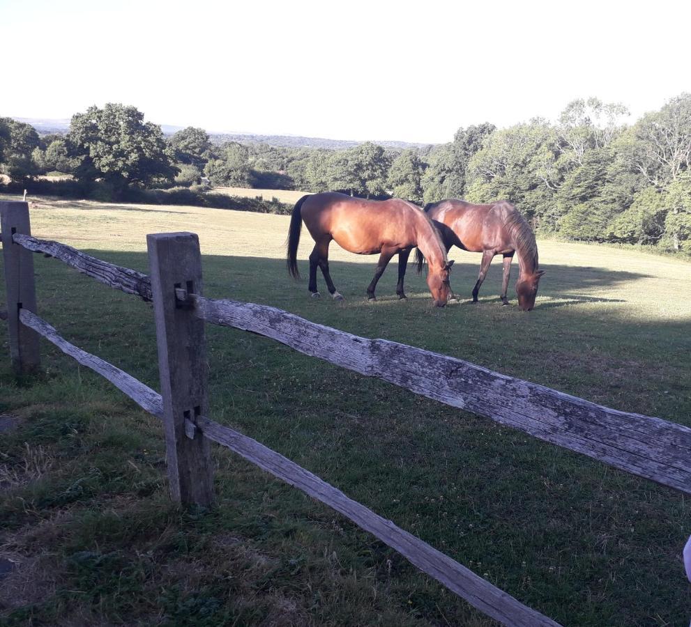Moaps Farm B&B Support Small Business, Welcome, Check In From 5 Pm Danehill Exterior photo