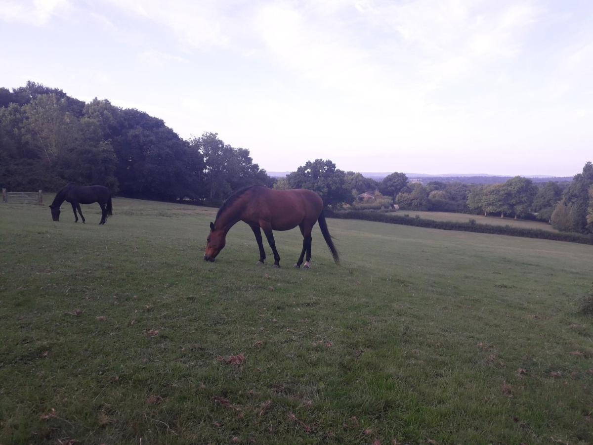 Moaps Farm B&B Support Small Business, Welcome, Check In From 5 Pm Danehill Exterior photo