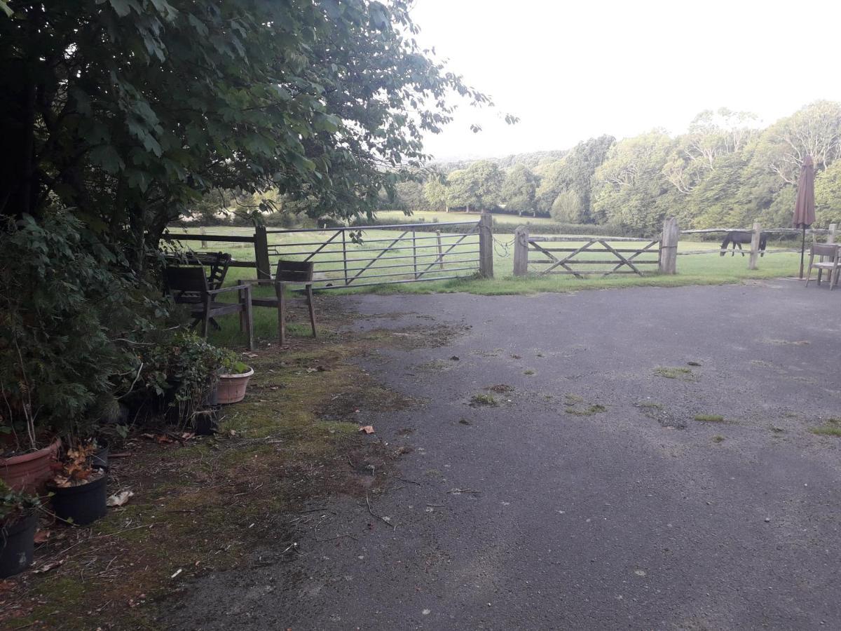 Moaps Farm B&B Support Small Business, Welcome, Check In From 5 Pm Danehill Exterior photo