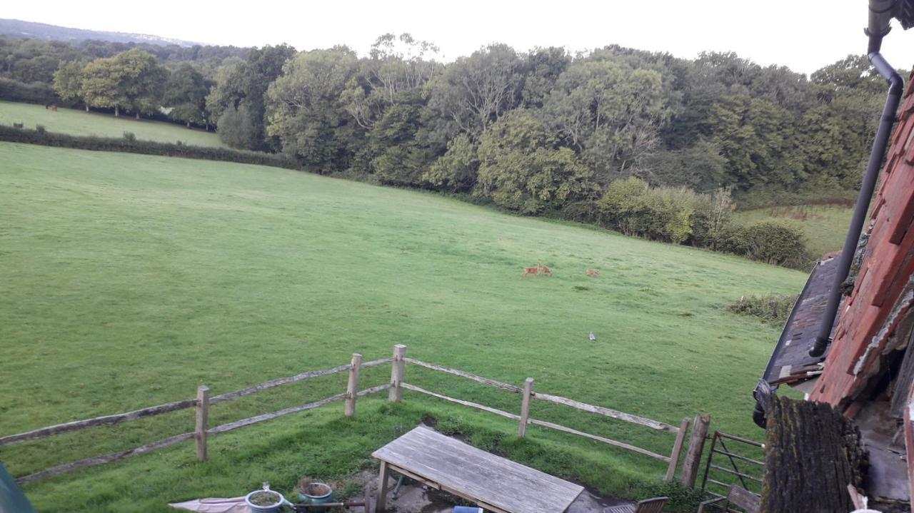 Moaps Farm B&B Support Small Business, Welcome, Check In From 5 Pm Danehill Exterior photo