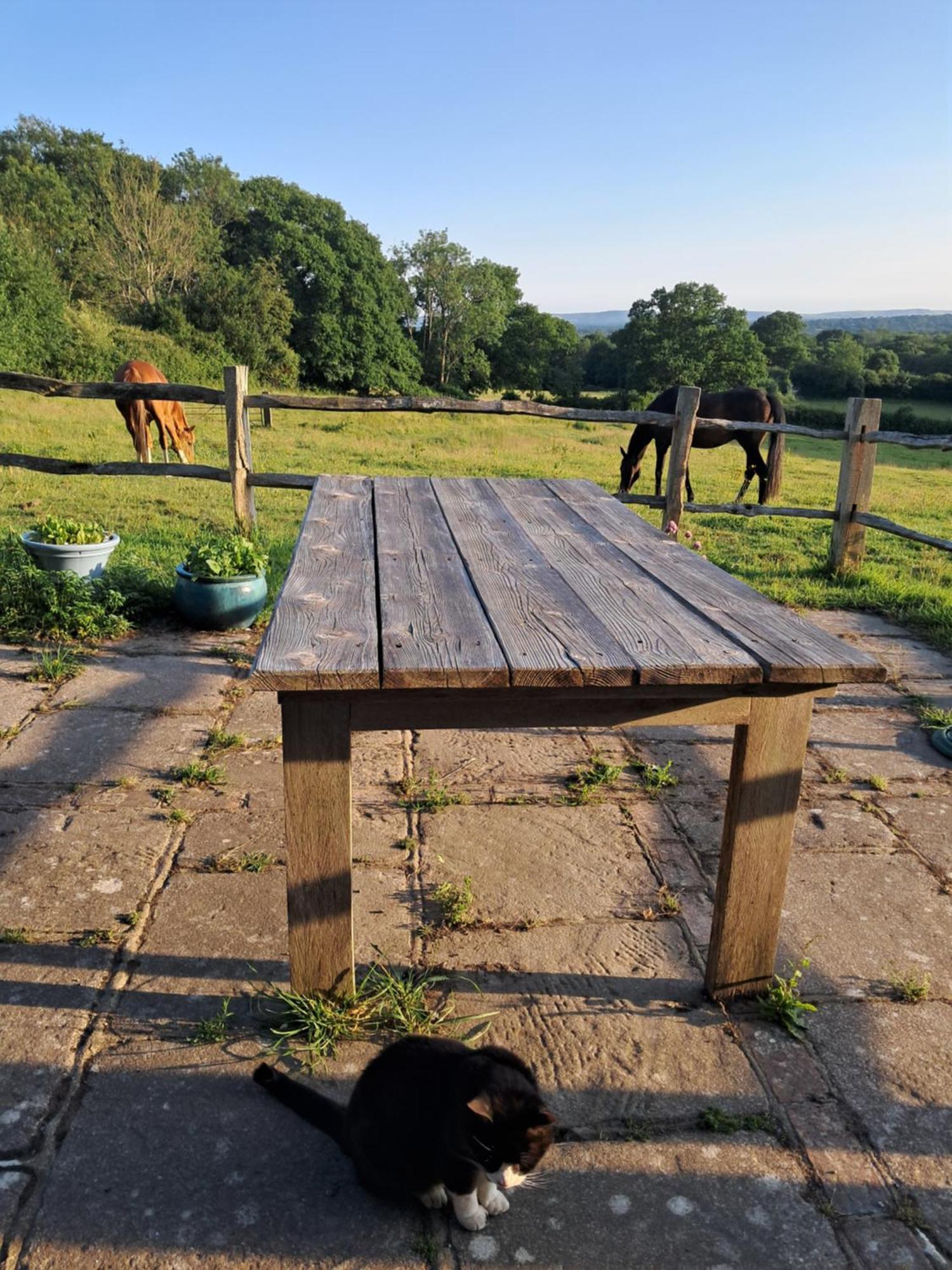 Moaps Farm B&B Support Small Business, Welcome, Check In From 5 Pm Danehill Exterior photo